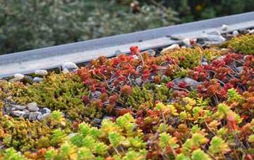 the cost of Street End green roof installation