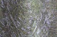 Street End fibreglass roof work